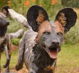 Frith - Wild dog life-sized