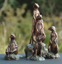 Meerkat mini 8