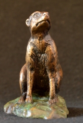 Meerkat mini 8