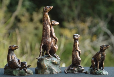 Meerkat mini 8