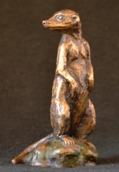 Meerkat mini 8