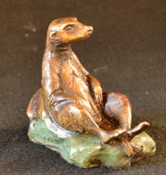 Meerkat mini 8