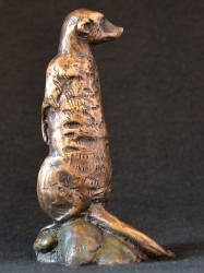 Meerkat mini 8