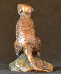 Meerkat mini 8