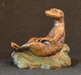 Meerkat mini 8