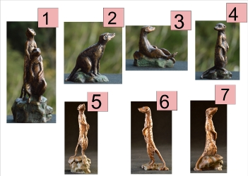 Meerkat mini 8