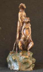 Meerkat mini 8