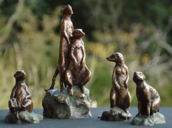 Meerkat mini 8