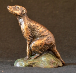 Meerkat mini 8