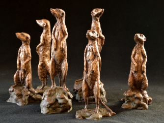 Meerkats - Mini 3