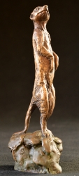 Meerkats - Mini 3