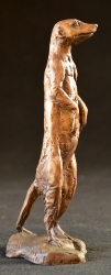Meerkats - Mini 3