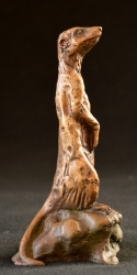 Meerkats - Mini 3