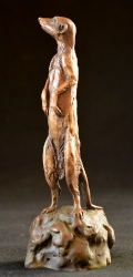Meerkats - Mini 3