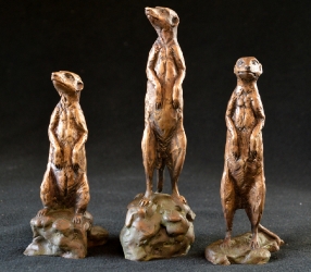Meerkats - Mini 3