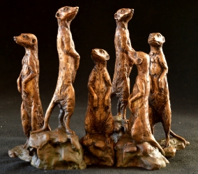 Meerkats - Mini 3