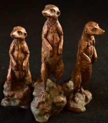 Meerkats - Mini 3