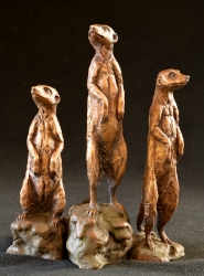 Meerkats - Mini 3