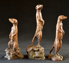 Meerkats - Mini 3