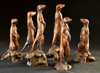 Meerkats - Mini 3