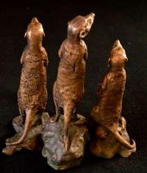 Meerkats - Mini 3