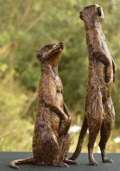 Neighbourhood Couple - meerkats