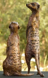 Neighbourhood Couple - meerkats