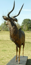 Nyala Bull - Life-size