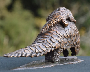 Piggyback Ride - Pangolin and Baby