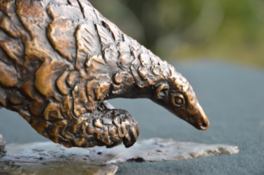 Piggyback Ride - Pangolin and Baby