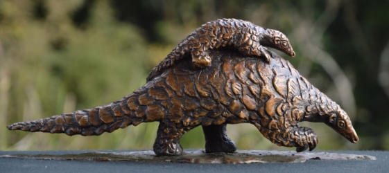 Piggyback Ride - Pangolin and Baby