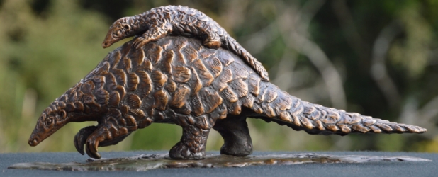 Piggyback Ride - Pangolin and Baby