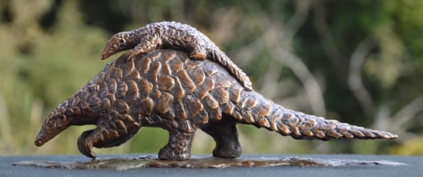 Piggyback Ride - Pangolin and Baby