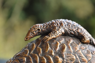 Piggyback Ride - Pangolin and Baby