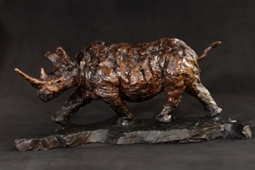 Running Rhino