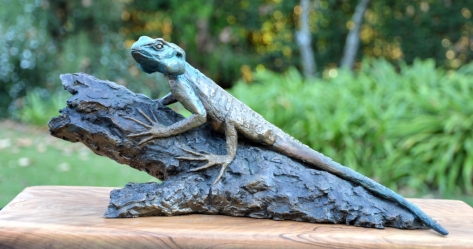 Southern tree agama