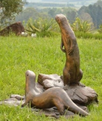 Spotted-necked otters - life-size