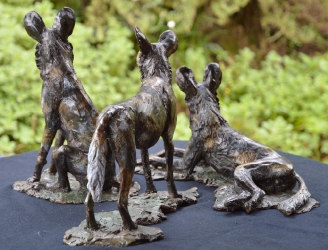 Three Musketeers - Wild dogs