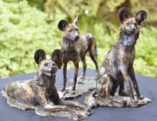 Three Musketeers - Wild dogs