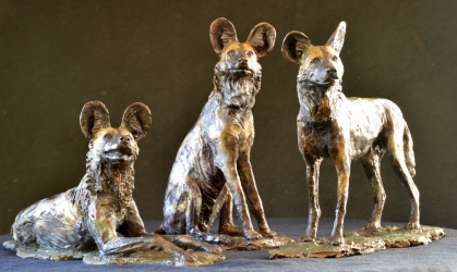 Three Musketeers - Wild dogs