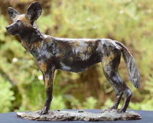 Three Musketeers - Wild dogs