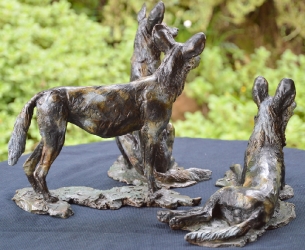 Three Musketeers - Wild dogs