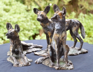 Three Musketeers - Wild dogs