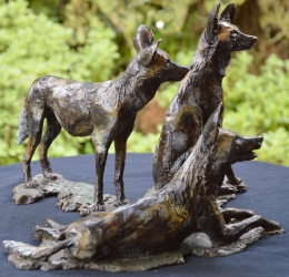 Three Musketeers - Wild dogs