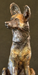Three Musketeers - Wild dogs