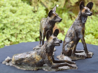 Three Musketeers - Wild dogs