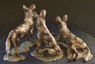 Three Musketeers - Wild dogs