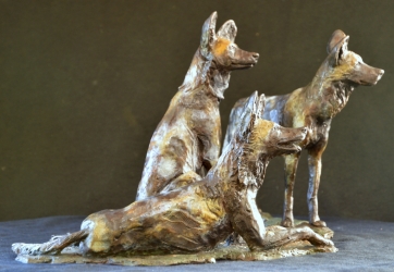 Three Musketeers - Wild dogs