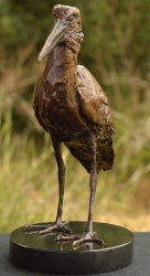 Hamerkop