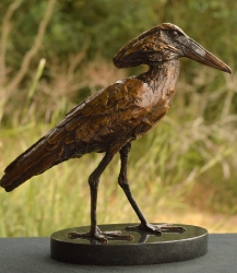 Hamerkop